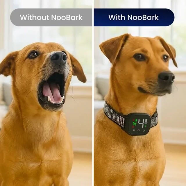 nooBark image