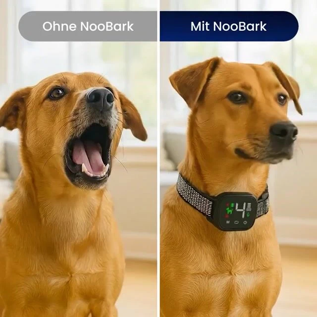 nooBark image