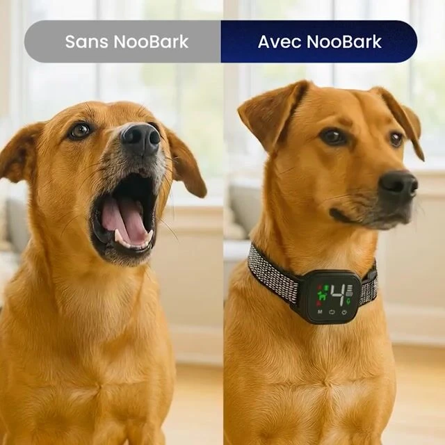 nooBark image